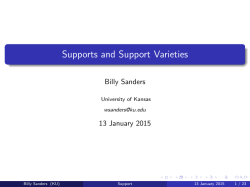 Supports and Support Varieties