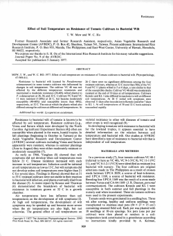 Effect of Soil Temperature on Resistance of Tomato Cultivars to