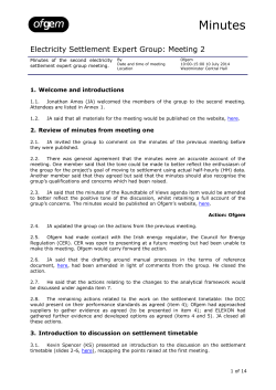 Electricity Settlement Expert Group: Meeting 2