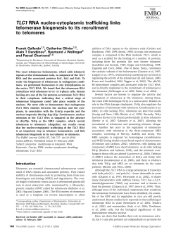TLC1 RNA nucleocytoplasmic trafficking links telomerase