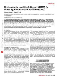 npgrj_nprot_2007