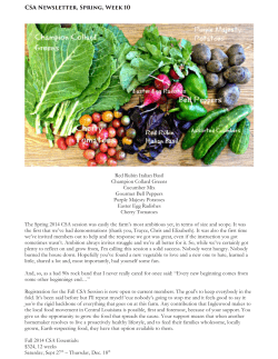 Italian Purple Potato Salad