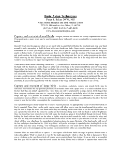 Basic Avian Techniques Laboratory Handout