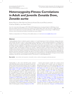 Heterozygosity-Fitness Correlations in Adult and