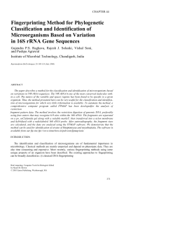 OCR Document