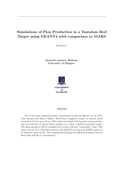 Simulations of Pion Production in a Tantalum