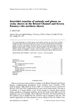 Intertidal zonation of animals and plants on rocky shores in the