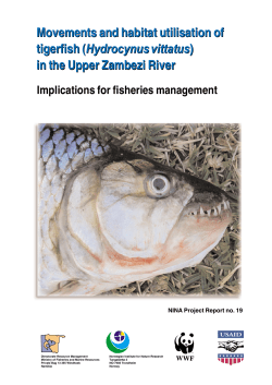 Movements and habitat utilisation of tigerfish (Hydrocynus vittatus) in