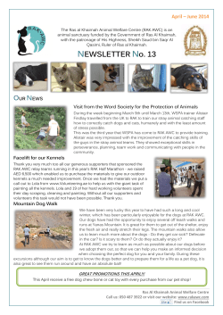 newsletter