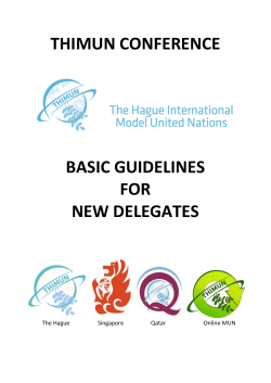 thimun basic guidelines