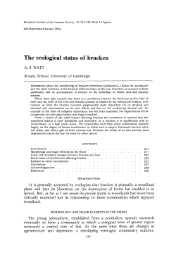 The ecological status of bracken