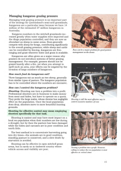Managing kangaroo grazing pressure