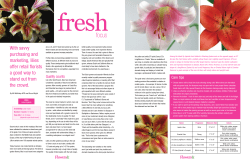 Lilies - MyTeleflora.com