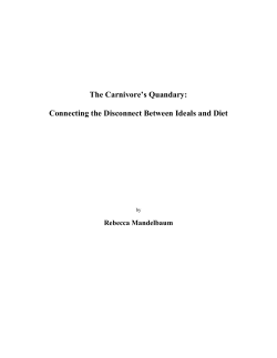 The Carnivore`s Quandary: Connecting the