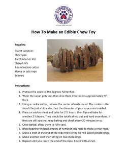 How To Make an Edible Chew Toy
