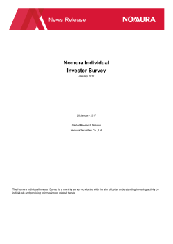 Nomura Individual Investor Survey January 2017