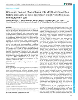 Gene array analysis of neural crest cells identifies