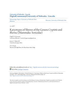 Karyotypes of Shrews of the Genera Cryptotis and Blarina