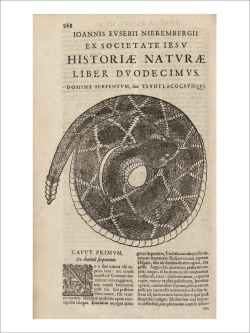 Natural History, Ethnography, and Archaeology