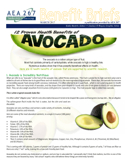 1. Avocado is Incredibly Nutritious