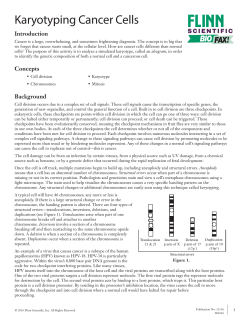 Karyotyping Cancer Cells