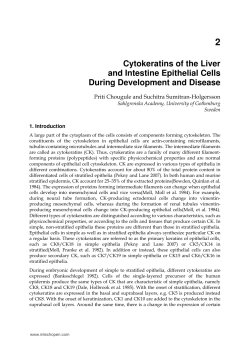 2 Cytokeratins of the Liver and Intestine Epithelial Cells During