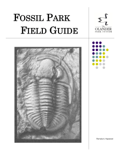 Field Guide - The Olander Park System