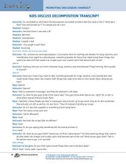 kids discuss decomposition transcript