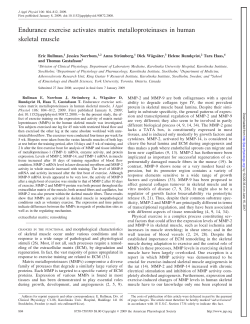 Endurance exercise activates matrix metalloproteinases in human