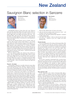 Sauvignon Blanc selection in Sancerre
