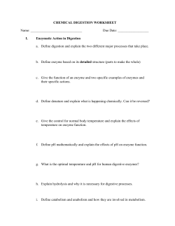 Chemical Digestion Worksheet