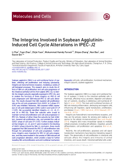Induced Cell Cycle Alterations in IPEC-J2