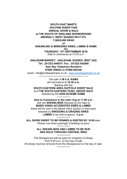 SOUTH EAST MARTS DOLPHIN SHEEP FAIR ANNUAL SHOW