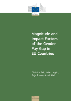 Magnitude and Impact Factors of the Gender Pay Gap in EU Countries