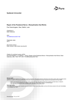 Syddansk Universitet Repair of the Peripheral Nerve