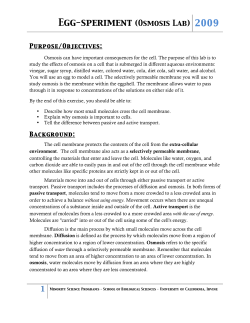 Egg-speriment (Osmosis Lab) 2009