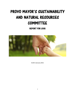 provo mayor`s sustainability and natural resources