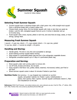 Summer Squash - WordPress.com