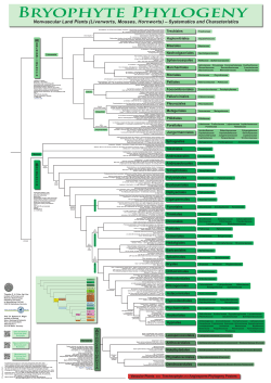 Nonvascular Land Plants (Liverworts, Mosses, Hornworts
