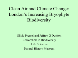 Clean Air and Climate Change: London`s Increasing Bryophyte