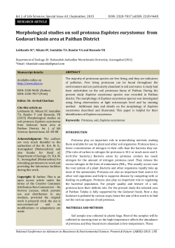 Morphological studies on soil protozoa Euplotes eurystomus from