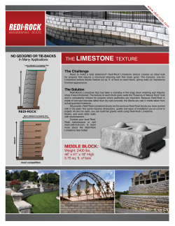 THE LIMESTONE TEXTURE