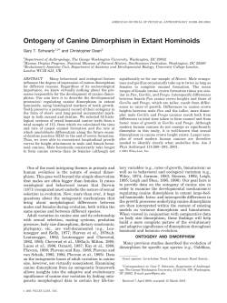 Ontogeny of Canine Dimorphism in Extant Hominoids