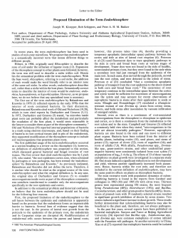 Proposed Elimination of the Term Endorhizosphere