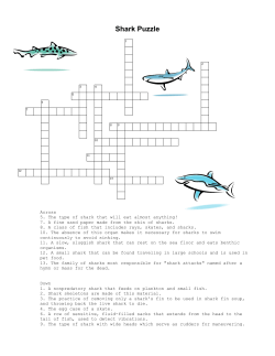 Shark Crossword Puzzle - Ms. Thompson`s Oceanography Site!!