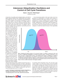 Interwoven Ubiquitination Oscillators and Control of Cell Cycle
