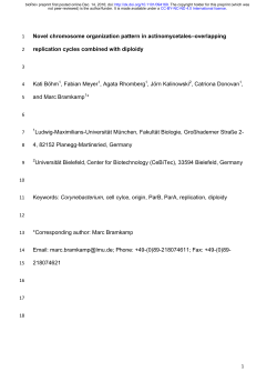 Novel chromosome organization pattern in