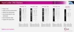 HyperLadder DNA Markers
