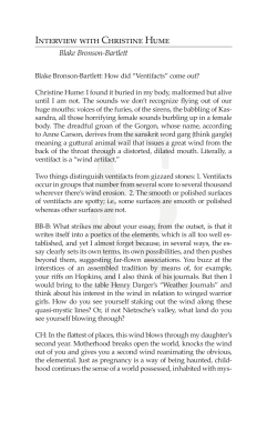 An Interview with Christine Hume