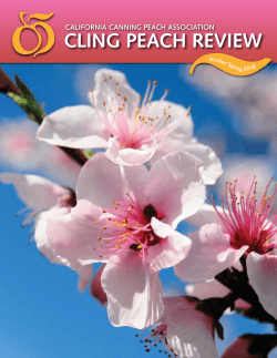 Cling PeaCh Review - California Canning Peach Association